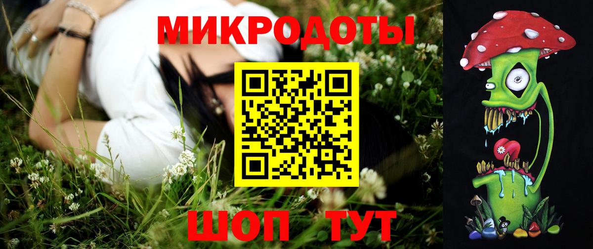 Волгоград  Псилоцибиновые грибы мицелий  Вход с VPN  Псилоцибиновые грибы мицелий 